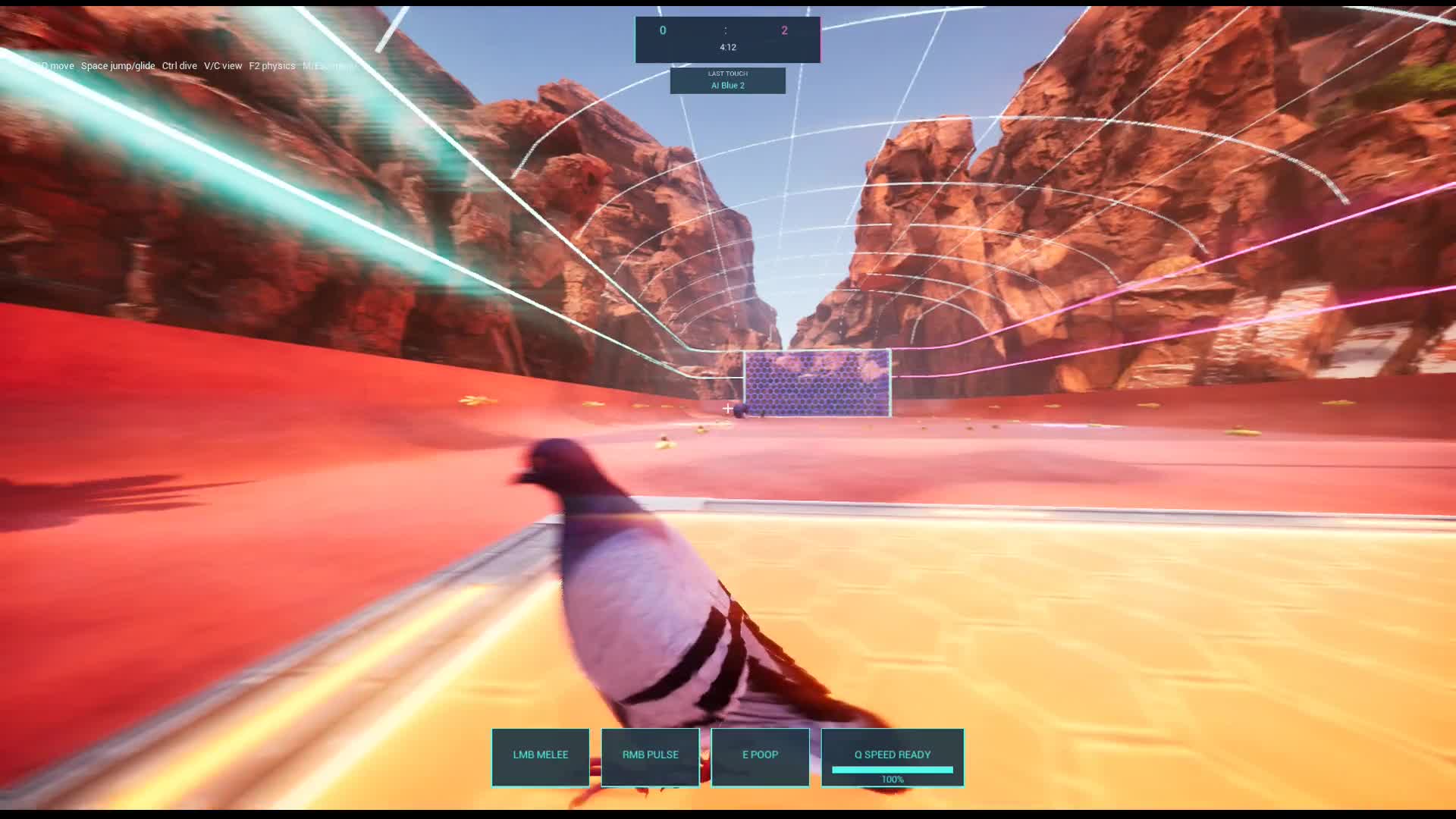 Pigeon Ball match in the desert arena