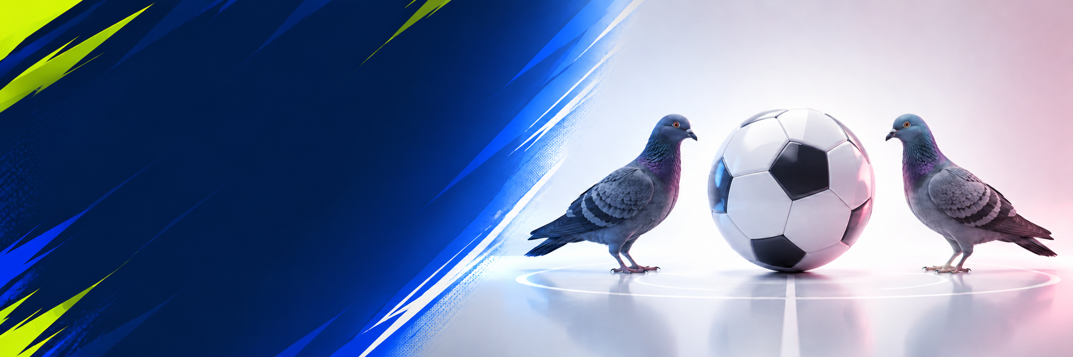 Two pigeons facing off beside a football — Pigeon Ball artwork